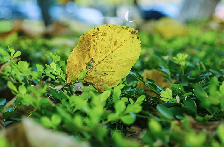 楚雄医药高等专科学校2023年招生简章