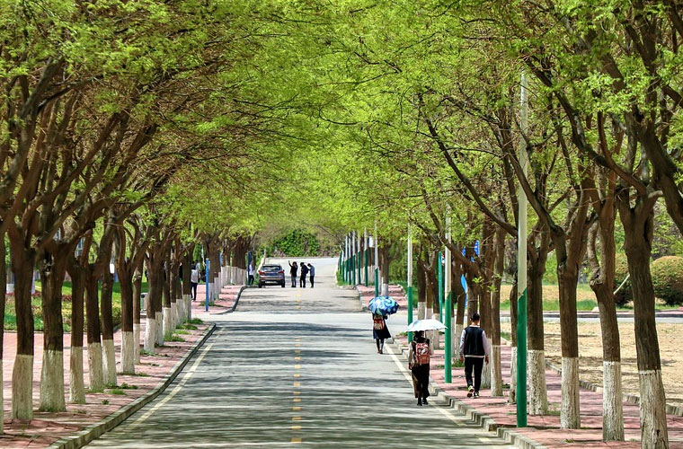 云南外事外语职业学院