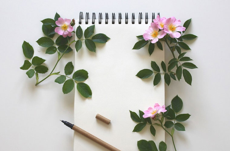 云南开放大学2022年招生录取分数线