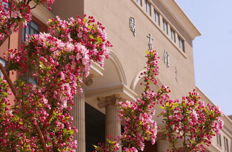 云南建设学校2022年录取分数线