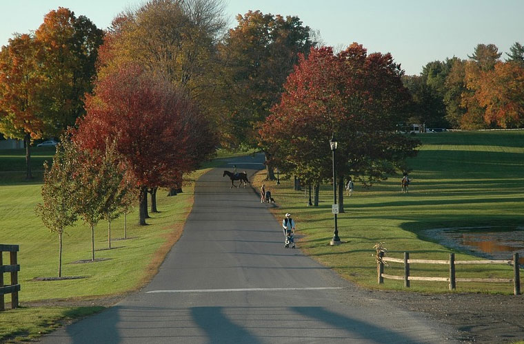 四川省国防教育学院南充校区各专业收费