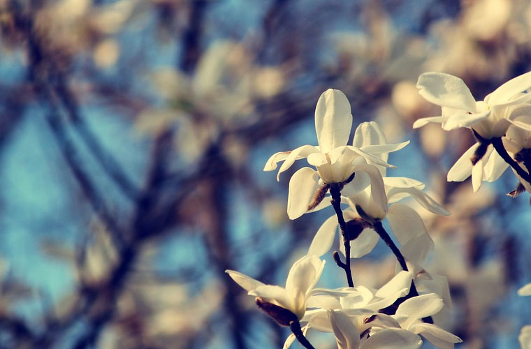 四川省达州市高级技工学校2022年分数线