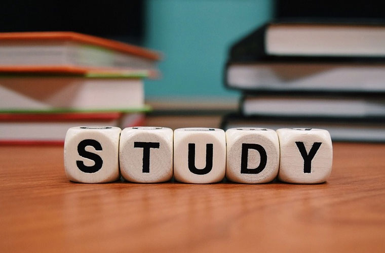 楚雄医药高等专科学校2022年分数线