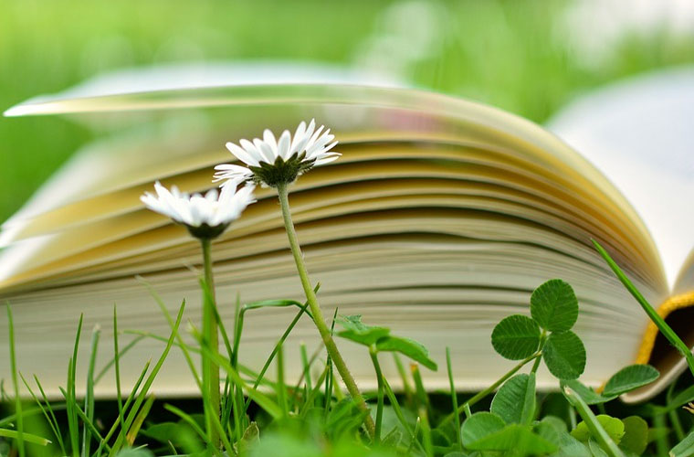 昌宁县职业技术学校春季招生简章及报名时间