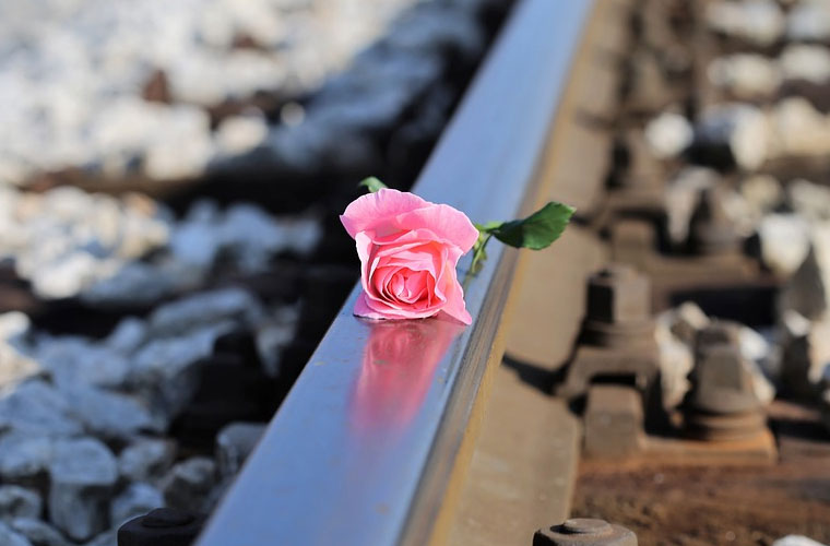 临沧市农业学校2022年录取分数线