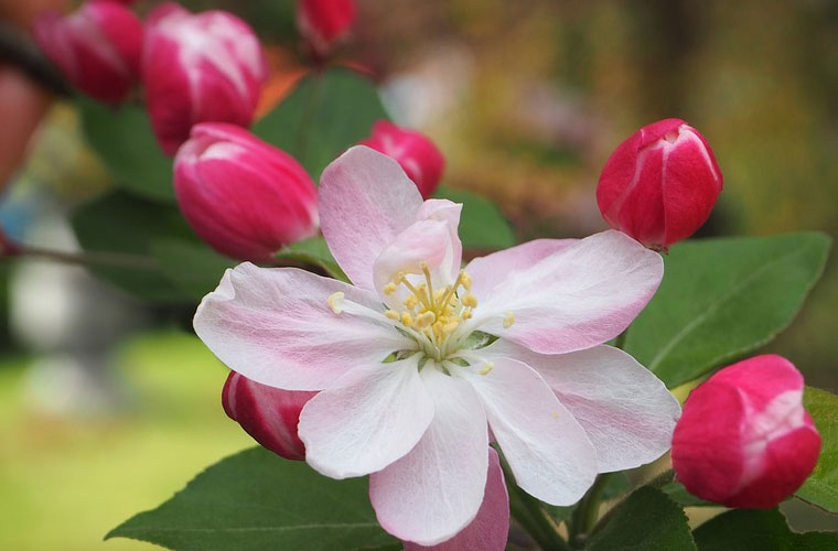 贵阳市长城职业学校春招报名时间