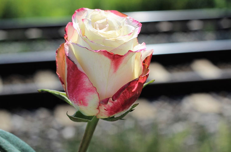 龙陵县职业高级中学春招报名时间