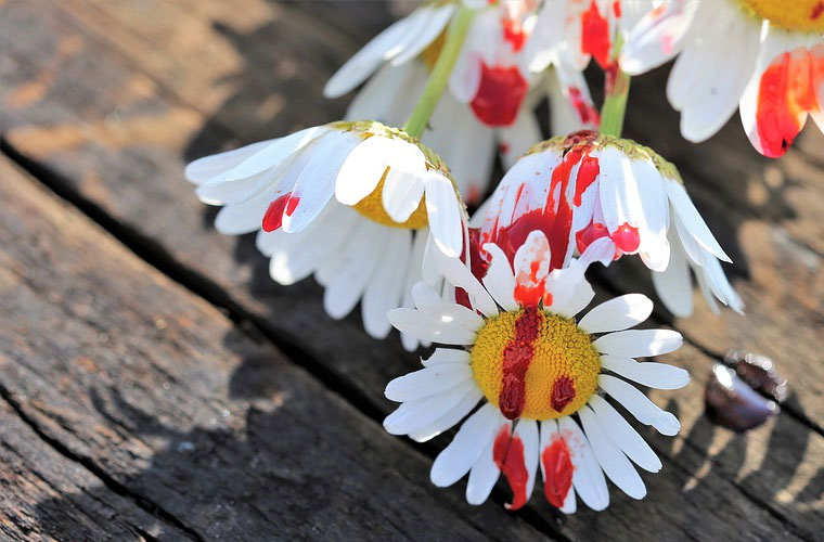 重庆市涪陵区职业教育中心各专业怎么收费