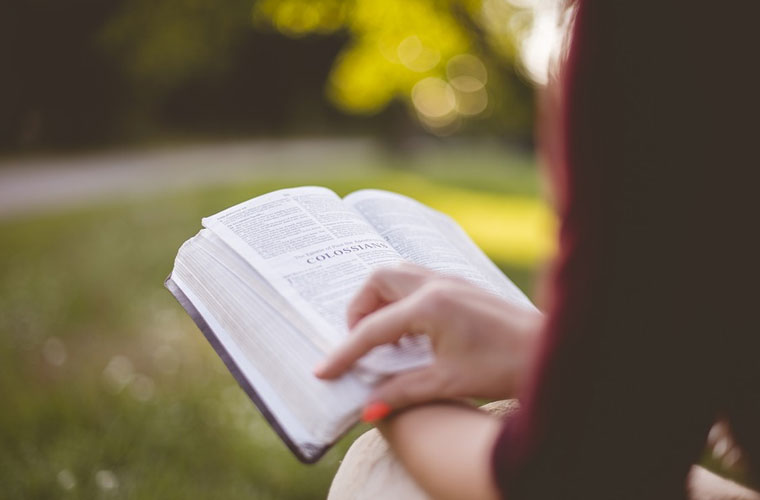 毕节市财贸学校各专业收费