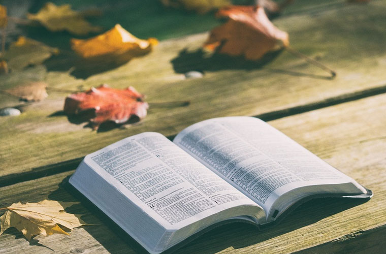 四川汽车职业技术学院2022年春招报名时间